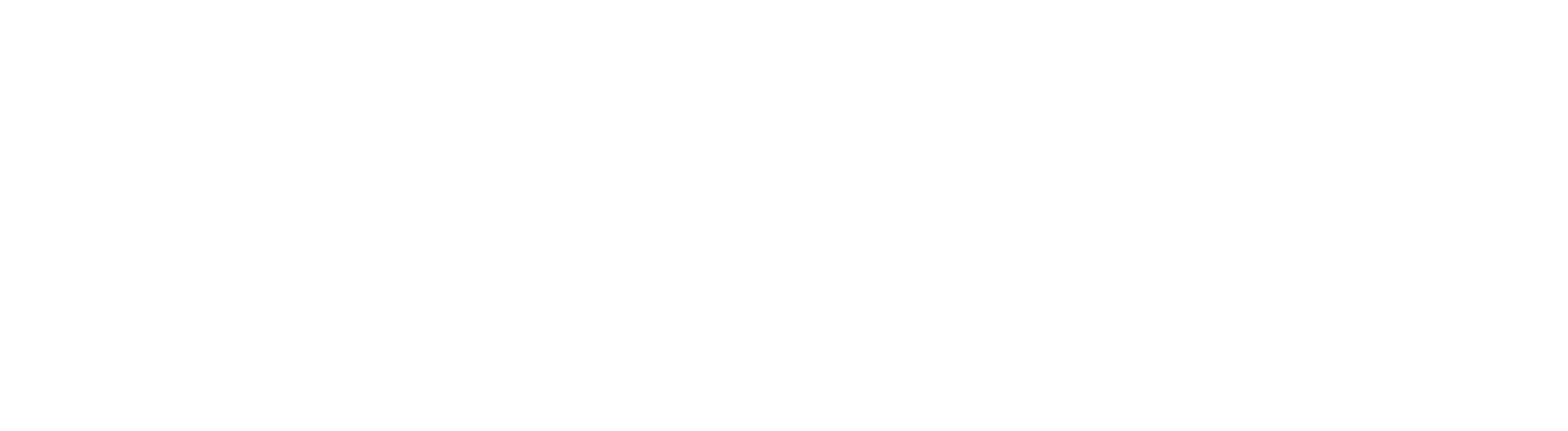 RLAB Japan Paint Protection